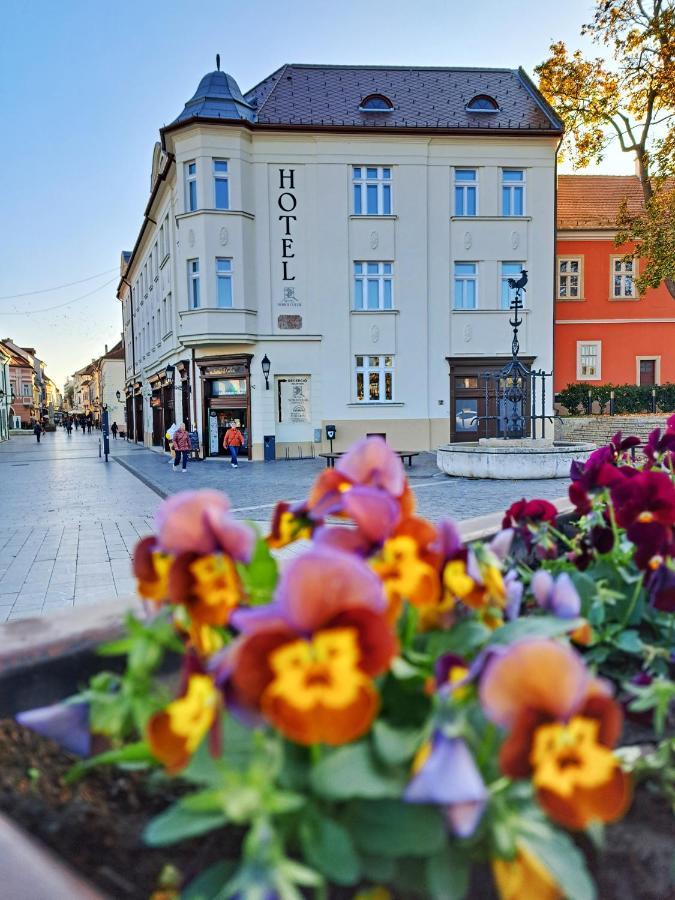 Hotel Domus Collis Győr Esterno foto